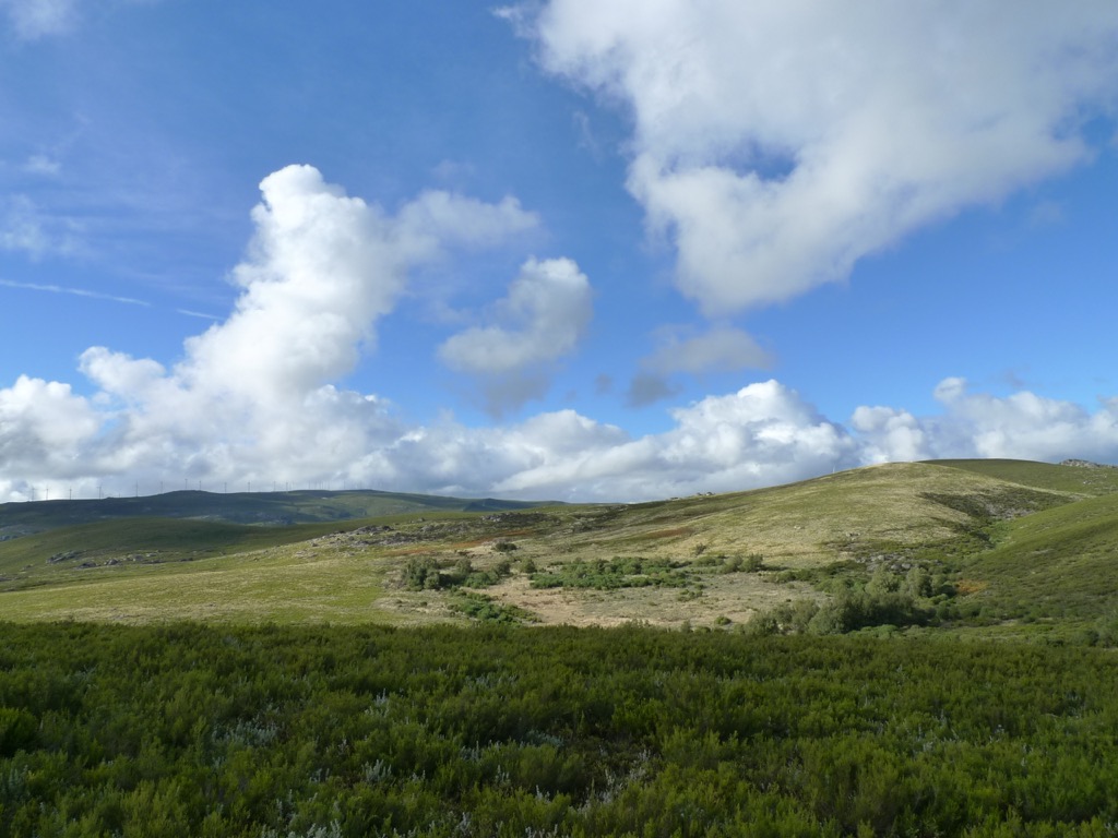 Documentos aprovados na Assembleia Geral da ZERO 2019