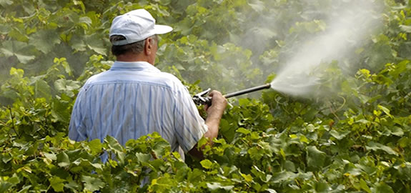 Parecer ZERO – Consulta Pública – “Plano de Ação Nacional para o Uso Sustentável de Produtos Fitofarmacêuticos (PANUSPF) – 1ª Revisão, para o quinquénio 2018 – 2013”