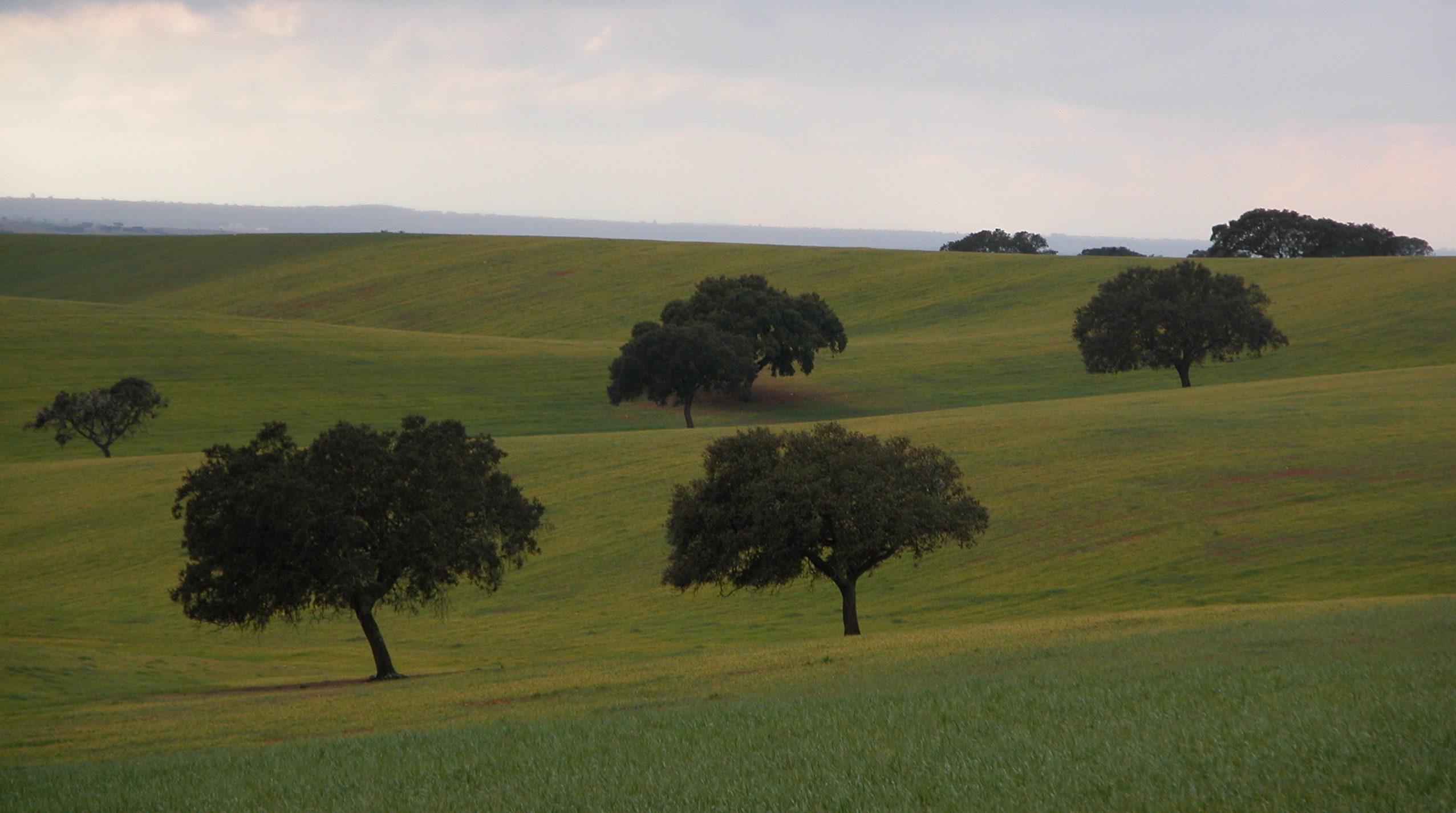 Plano de Atividades e Orçamento para 2022