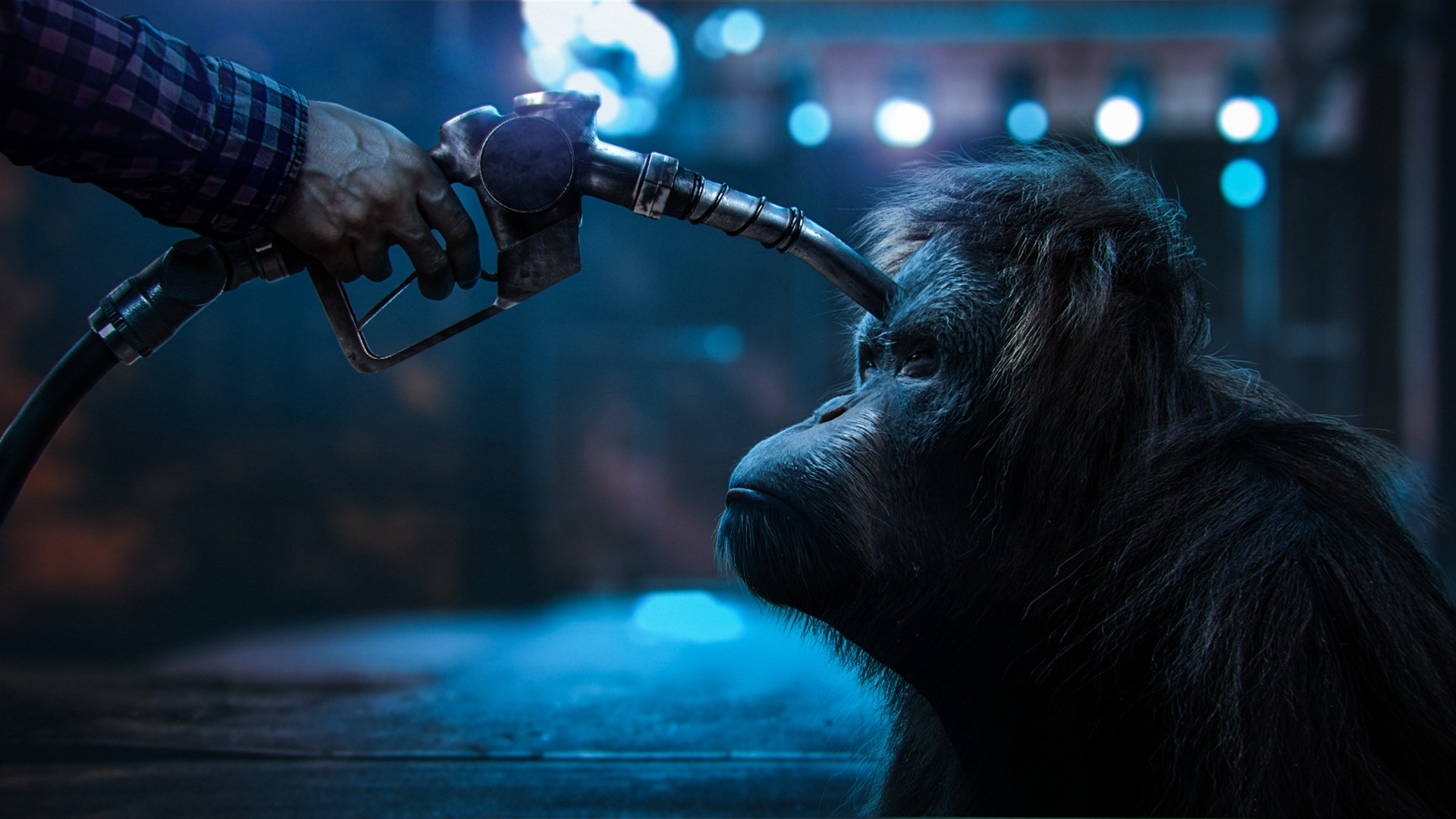 Atraso no abandono na utilização de óleo de palma nos biocombustíveis