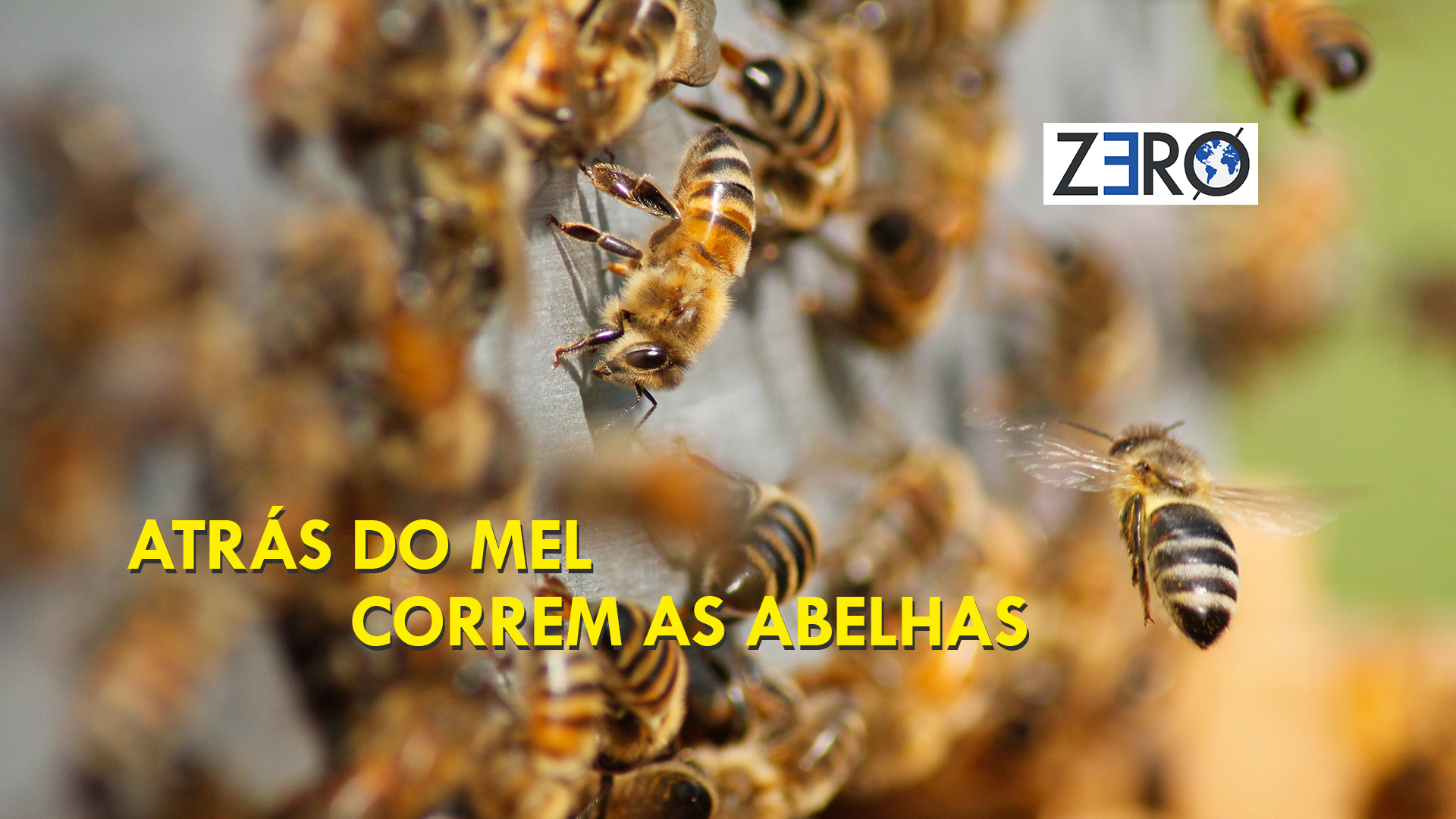 ATRÁS DO MEL CORREM AS ABELHAS