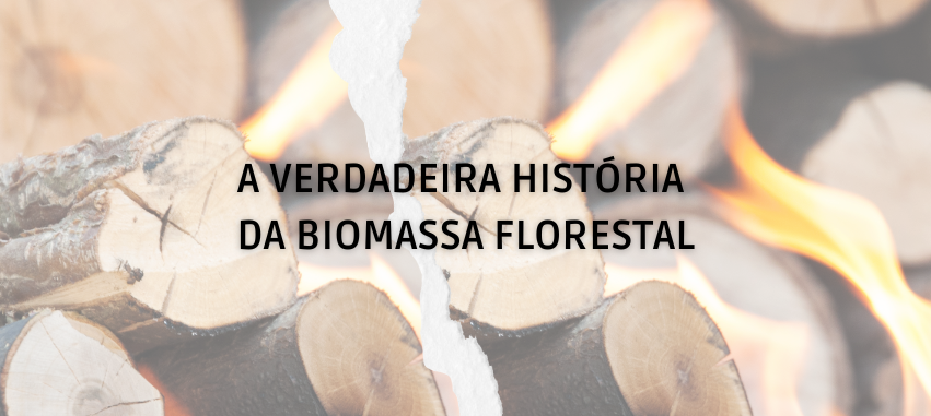 QUEIMAR BIOMASSA FLORESTAL COMPROMETE O CLIMA, A SAÚDE E A NATUREZA
