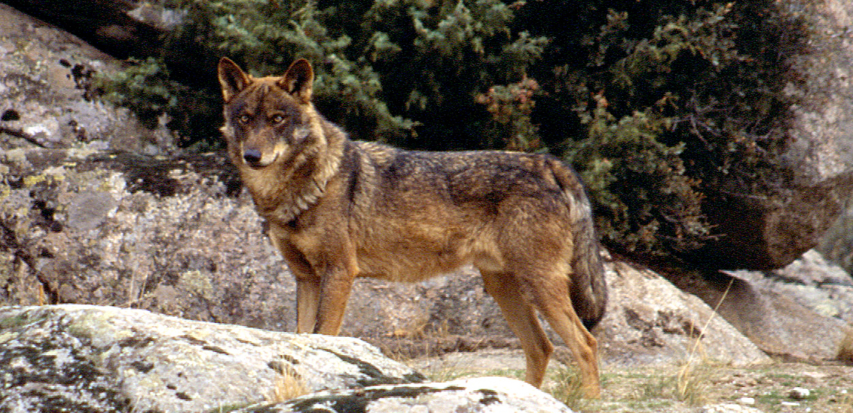 Atraso na publicação do Cadastro Nacional dos Valores Naturais Classificados