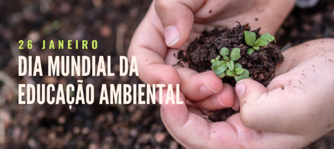 Dia Mundial da Educação Ambiental: mudar atitudes individuais é um pilar fundamental da sustentabilidade